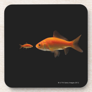 Goldfisch Getränkeuntersetzer