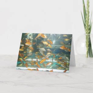"Goldfisch" Grußkarte zur Genesung Karte