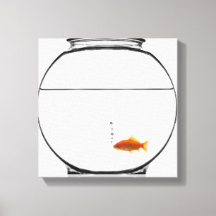 Goldfisch in der Schüssel Leinwanddruck