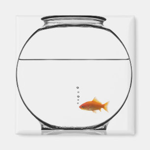 Goldfisch in der Schüssel Magnet