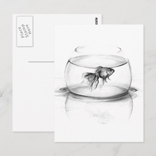 Goldfisch in Schüssel und Wasserstift zeichnend Ku Postkarte (Vorne/Hinten)