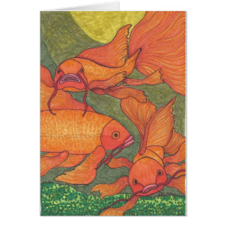 Goldfisch - Koi