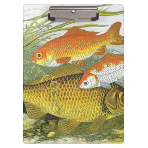 Goldfisch Koi Fisch, Vintage Marine Wasser Meer Le Klemmbrett