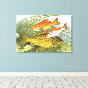 Goldfisch Koi Fisch, Vintage Marine Wasserleben Me Leinwanddruck