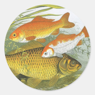 Goldfisch Koi Fisch, Vintage Marine Wasserleben Me Runder Aufkleber