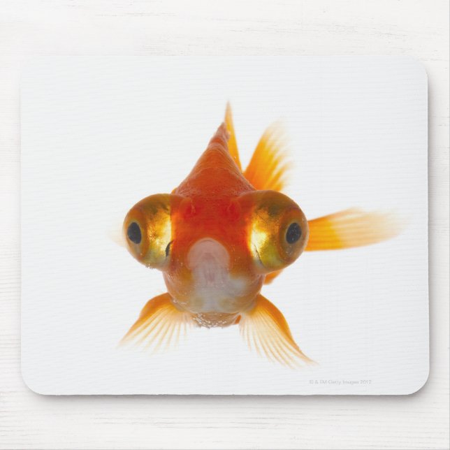 Goldfisch mit großen Augen 2 Mousepad (Vorne)