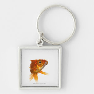 Goldfisch mit großen Augen 3 Schlüsselanhänger