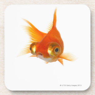 Goldfisch mit großen Augen Untersetzer