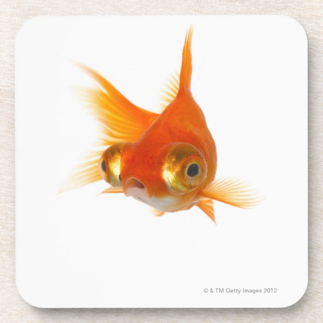 Goldfisch mit großen Augen Untersetzer (Vorderseite)