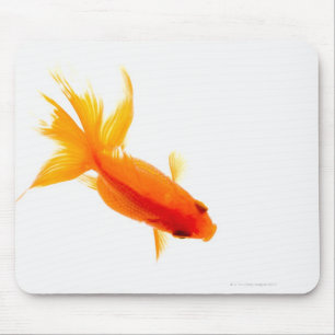 Goldfisch, obenliegende Ansicht Mousepad