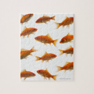 Goldfisch Puzzle