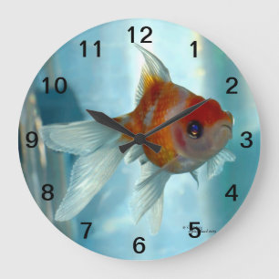 Goldfisch-Wanduhr Große Wanduhr