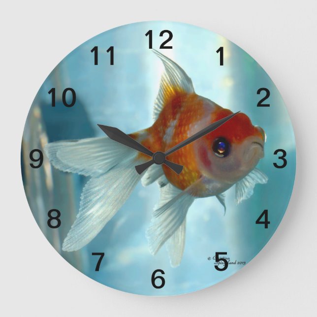 Goldfisch-Wanduhr Große Wanduhr (Vorderseite)