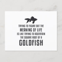Goldfische Bedeutung des Lebens Goldfisch Retro Fu