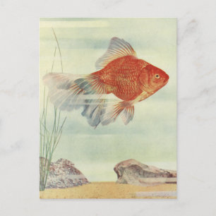 Goldfische T - Shirt, Karten & Geschenke!