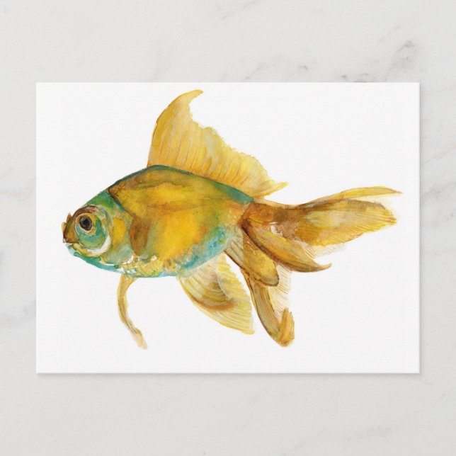 goldfish2.jpg postkarte (Vorderseite)