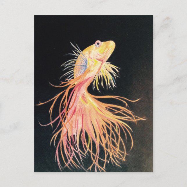 Goldfish (2).jpg postkarte (Vorderseite)