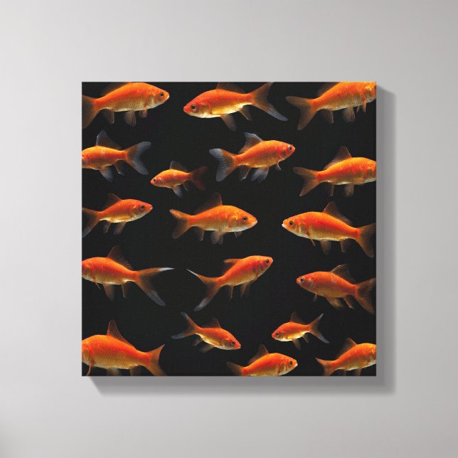 Goldfish 3 leinwanddruck (Vorderseite)