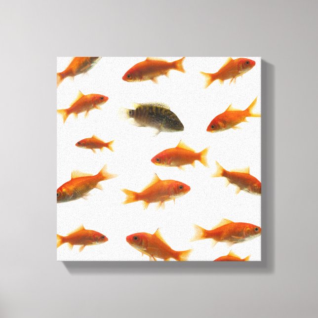 Goldfish 4 leinwanddruck (Vorderseite)