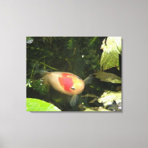 Goldfish Canvas Print Leinwanddruck