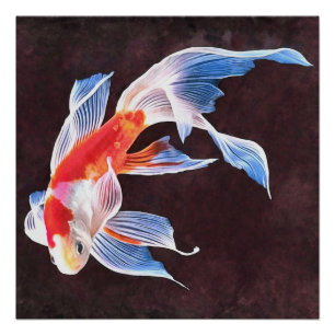 Goldfish: Eine realistische Kunst Poster