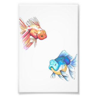 Goldfish-Farbdruckerei Fotodruck