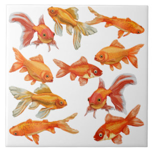 Goldfish Fliese