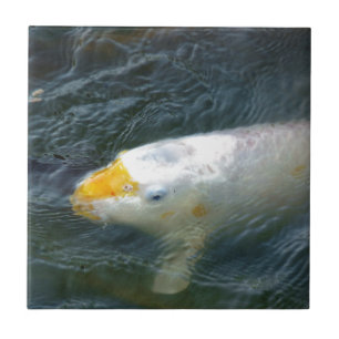 Goldfish im See Fliese