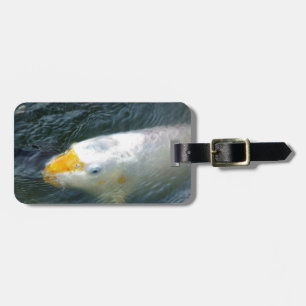 Goldfish im See Gepäckanhänger