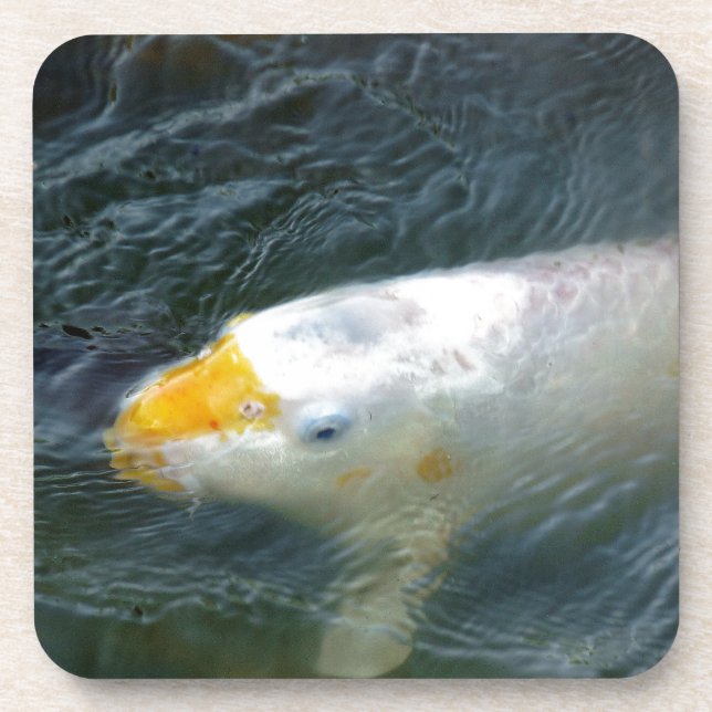 Goldfish im See Untersetzer (Vorderseite)