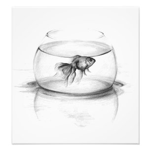 Goldfish in einem Schüsselbleistiftkunst Fotodruc Fotodruck