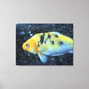 Goldfish-Leinwand Leinwanddruck
