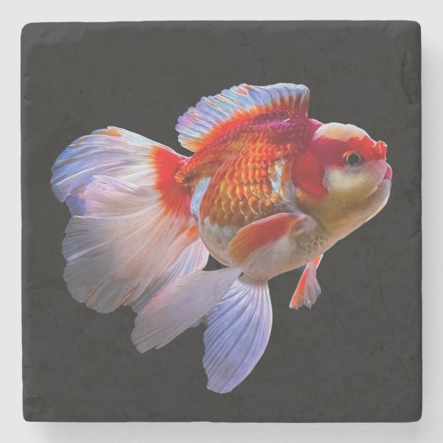 Goldfish mit schwarzem Hintergrund Steinuntersetzer (Vorderseite)