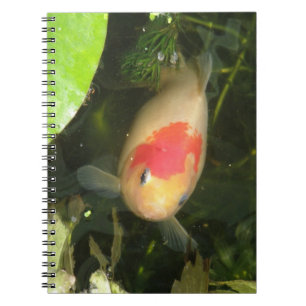 Goldfish-Notebook Notizblock