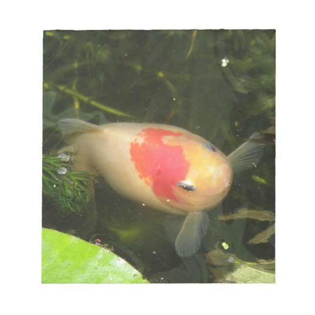 Goldfish Notepad Notizblock (Vorderseite)
