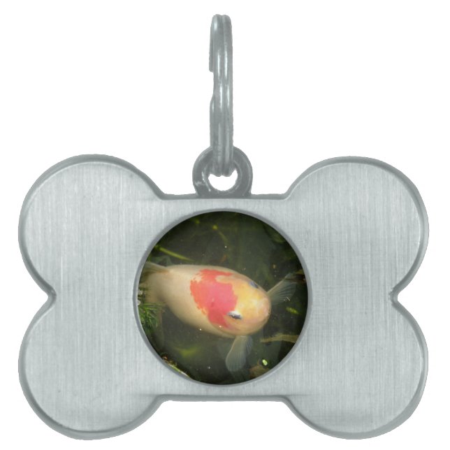 Goldfish Pet Tag Tiermarke (Vorderseite)