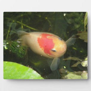 Goldfish Plaque Fotoplatte