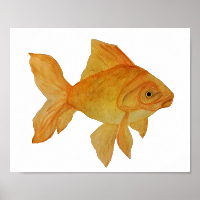 Goldfish Poster (Vorne)