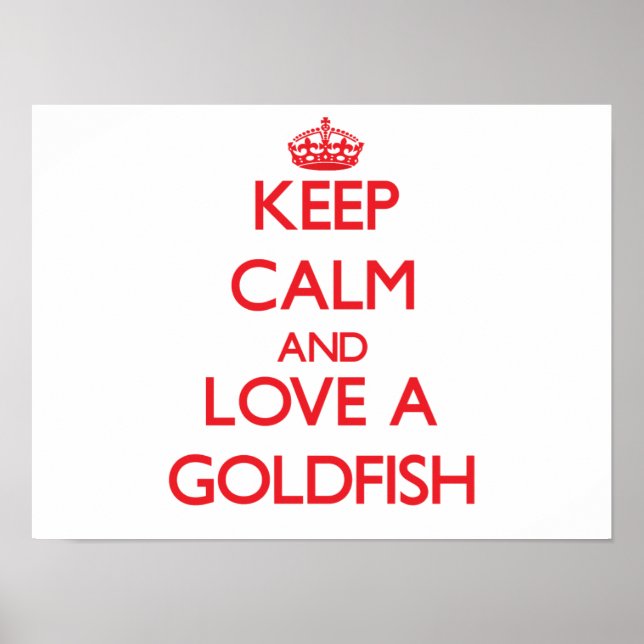 Goldfish Poster (Vorne)