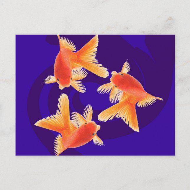 Goldfish Postkarte (Vorderseite)