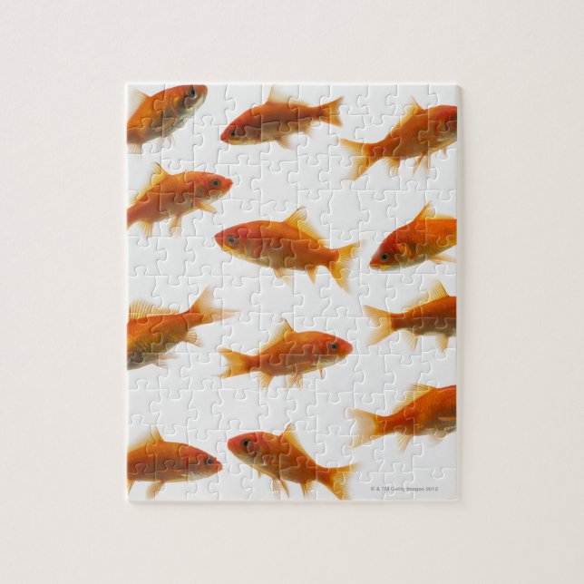 Goldfish Puzzle (Vertikal)