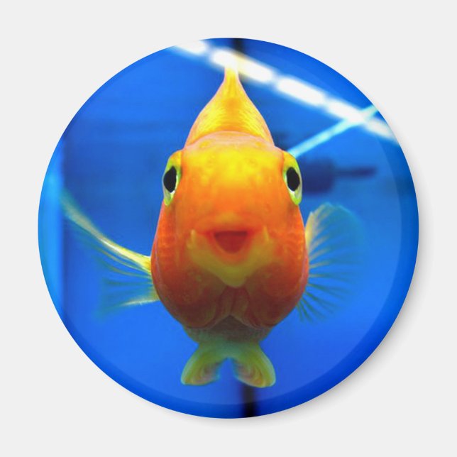 Goldfish Round Magnet lächeln (Vorne)