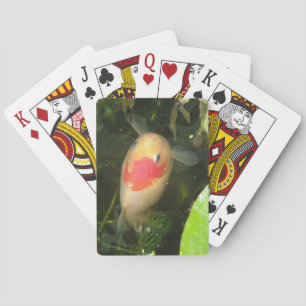 Goldfish Spielkarten