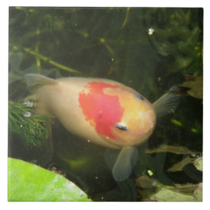 Goldfish Tile Fliese