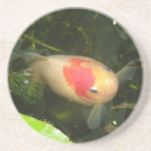 Goldfish Untersetzer