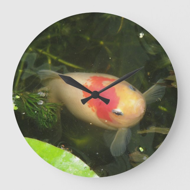 Goldfish Wall-Uhr Große Wanduhr (Vorderseite)