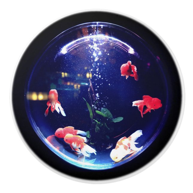 Goldfishschüssel-Keramikgriff Keramikknauf (Vorderseite)