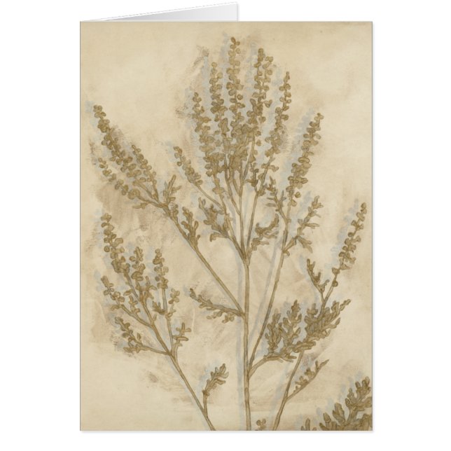 Goldfolie II (Vorne)