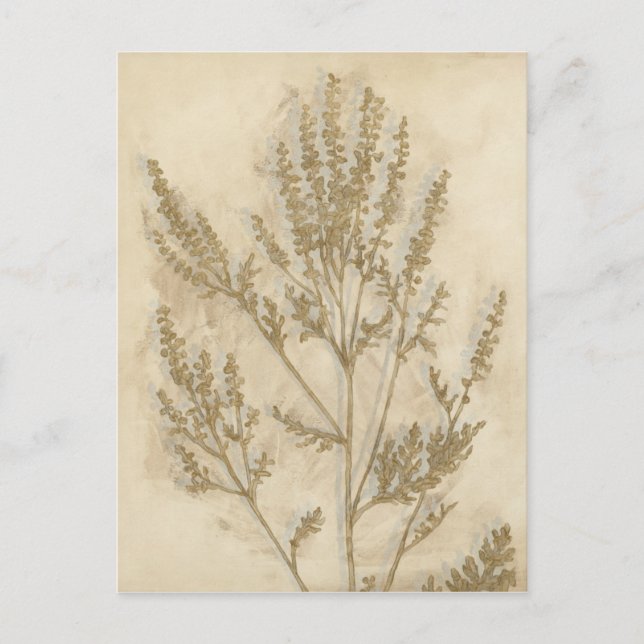 Goldfolie II Postkarte (Vorderseite)