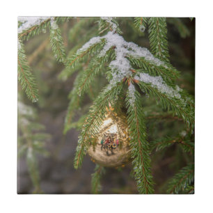 Goldglasweihnachtsverzierung auf immergrünem Baum Fliese